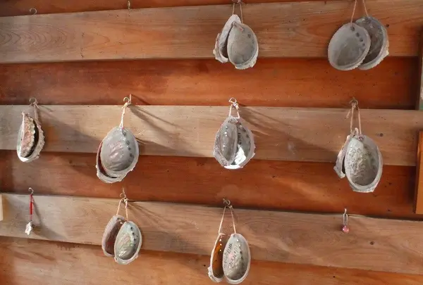 八代神社の写真・動画_image_10788