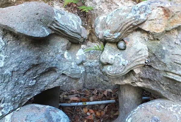 八代神社の写真・動画_image_10791