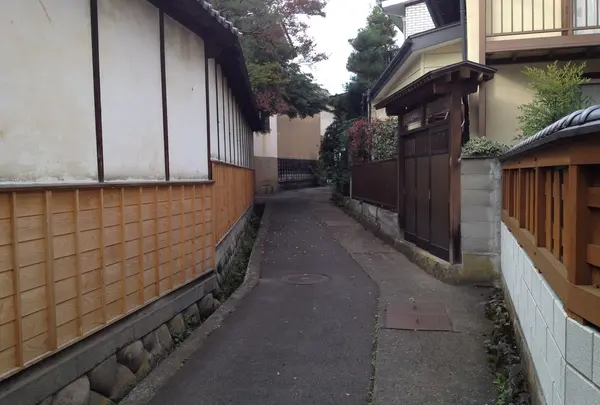 南照寺の写真・動画_image_11045
