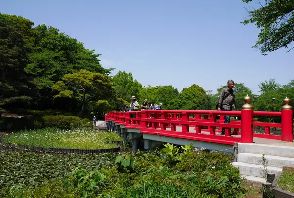 岩槻城址公園の写真・動画_image_1105