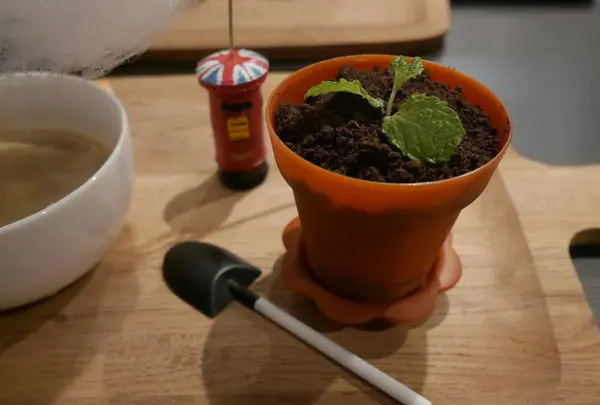 鉢植えデザート