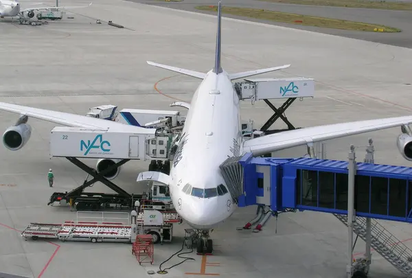 飛行機もバッチリ