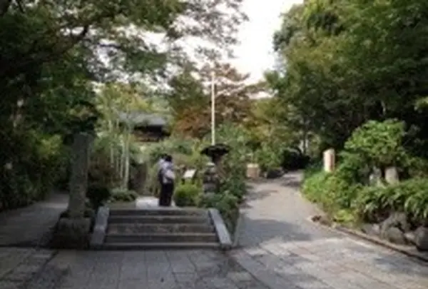 海蔵寺の写真・動画_image_11274