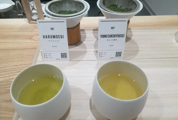 コース形式で煎茶をいただく
