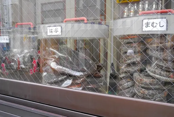 コレがあだ名の由来