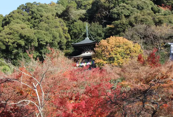 多宝塔