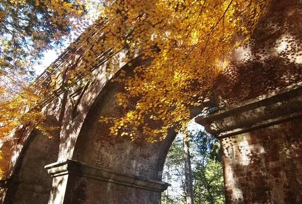 お隣の南禅寺