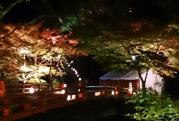 三尾その③、高雄山