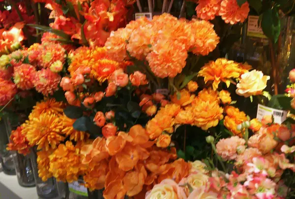 1階はお花畑