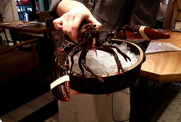 ☆オマール海老☆