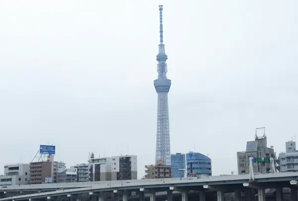 スカイツリーがどどん