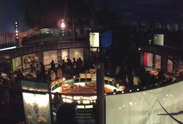展示エリア