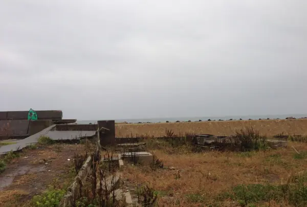 双葉町の写真・動画_image_11543