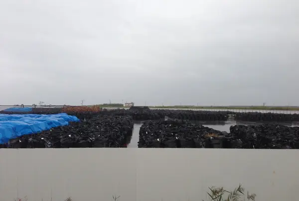 双葉町の写真・動画_image_11545