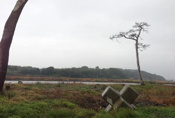 双葉町の写真・動画_image_11548