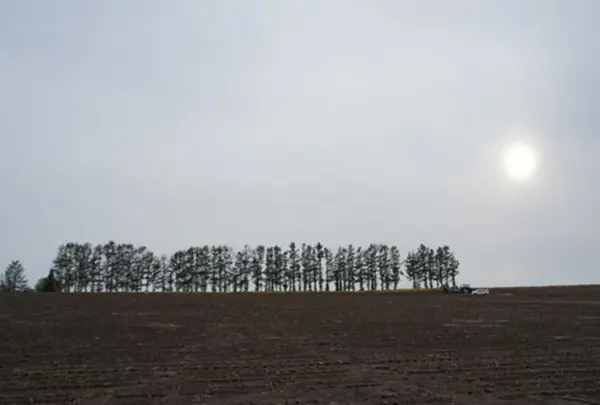 パッチワークの路の写真・動画_image_11622