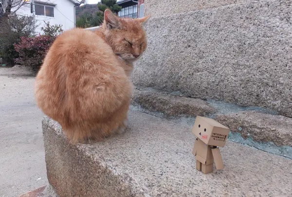 まだ、半分、寝てる。