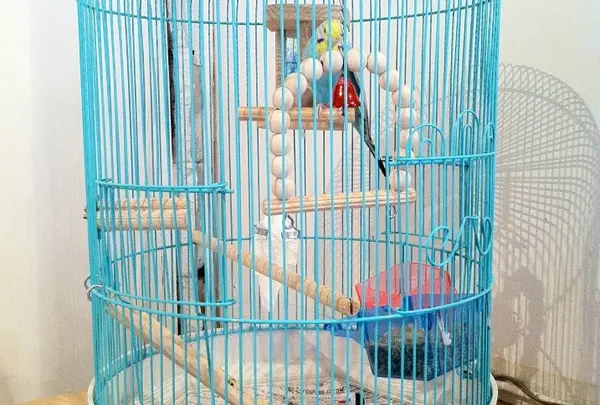 トリちゃんもいます