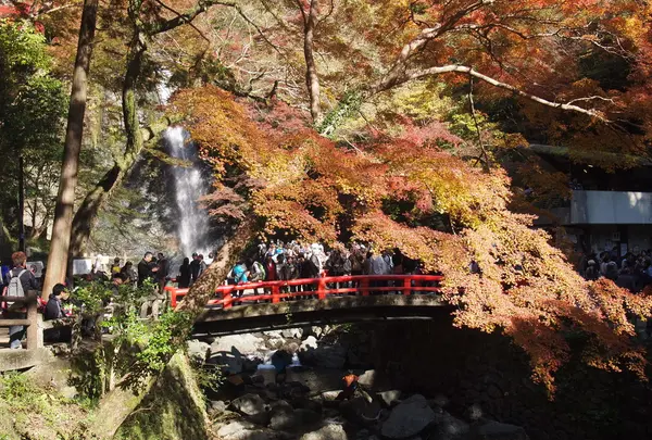 滝見橋