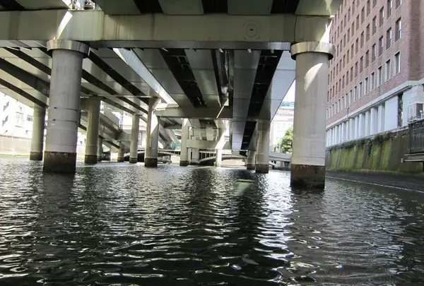 お江戸日本橋舟めぐりの写真・動画_image_12069