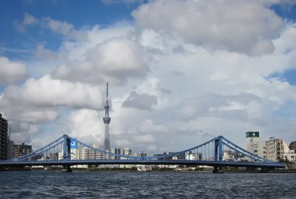 お江戸日本橋舟めぐりの写真・動画_image_12075