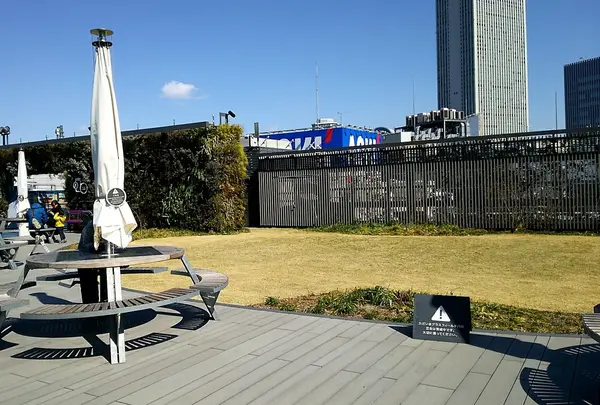 芝生