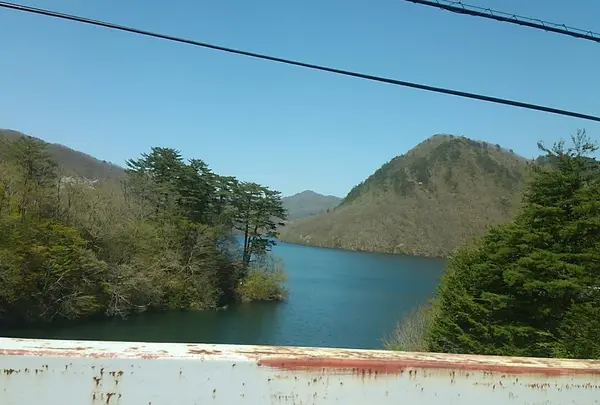 日光市の写真・動画_image_122862