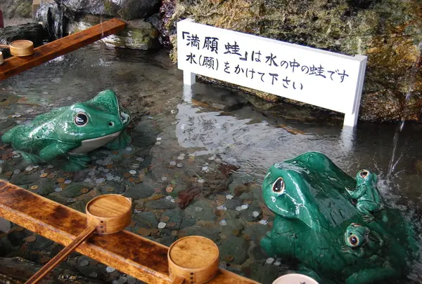 満願蛙