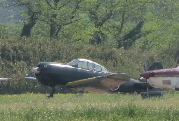 ホンダエアポートの写真・動画_image_1236