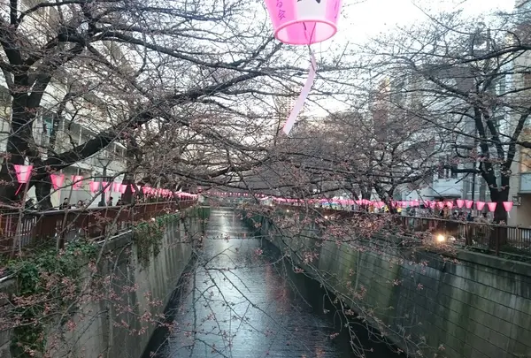 川沿いを散歩