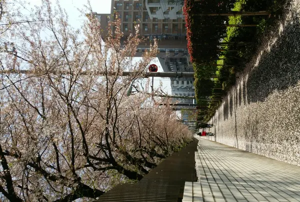 自衛隊横