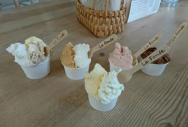 スポット内のおすすめ