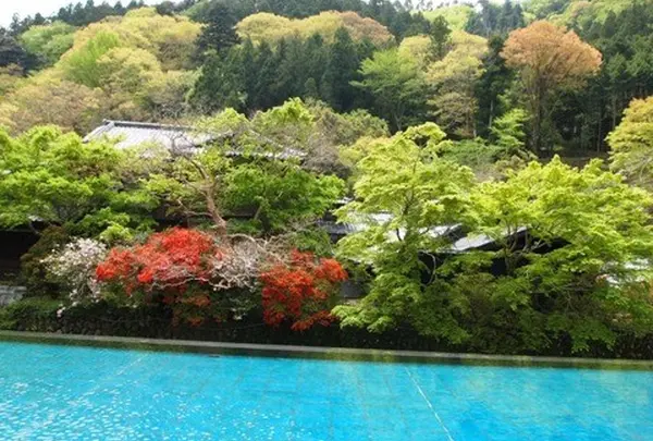 紅葉
