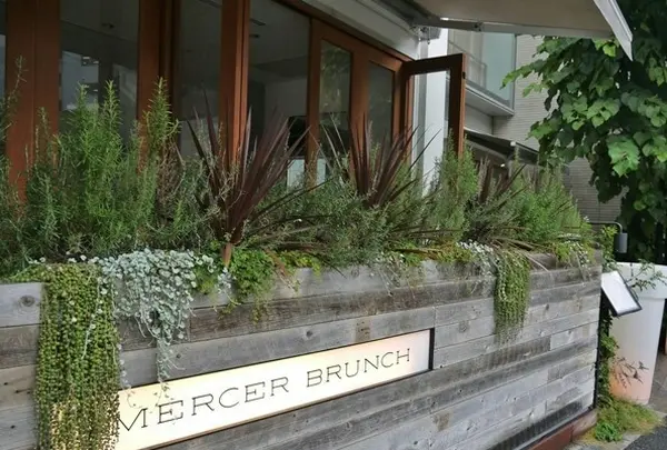 マーサーブランチ MERCER BRUNCHの写真・動画_image_126652