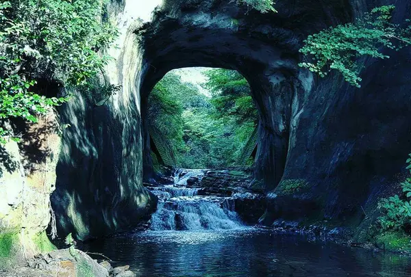 大きさに圧巻。