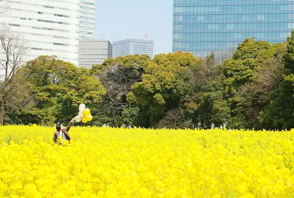 遠くから