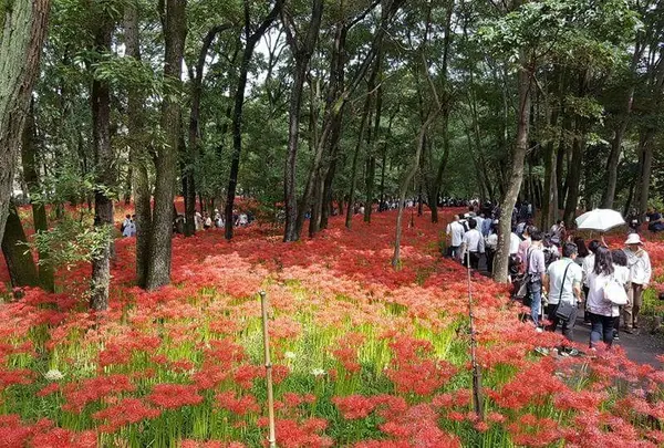 人人