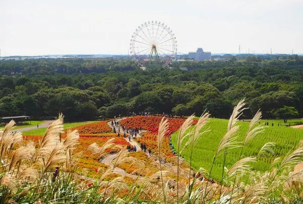 高台からの眺め
