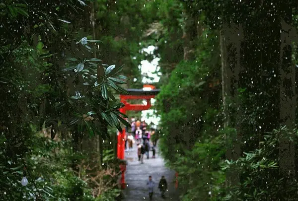 上から撮影