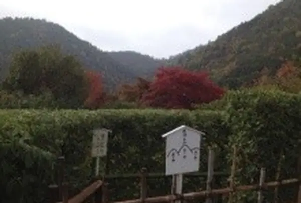 光悦寺から見える鷹峯三山