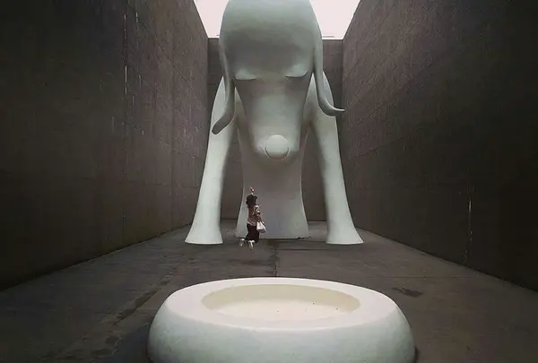 青森犬