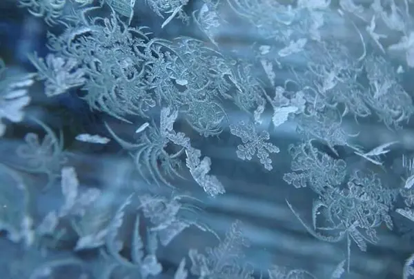 1月は本気の寒さ