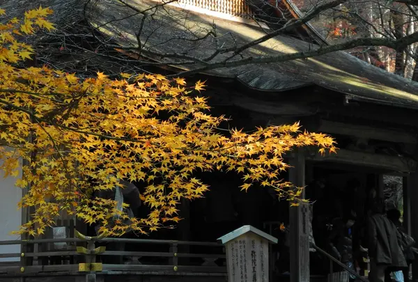 往生極楽堂と紅葉