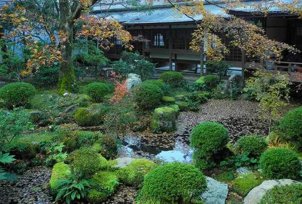 見事な庭にも紅葉が