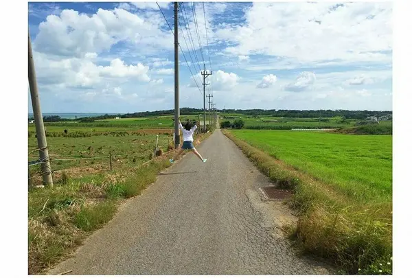 牛さんもたくさんいるよ❗