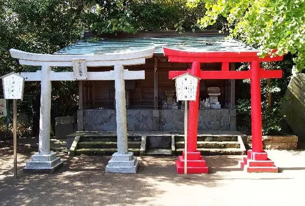 一瞬、紅白にも見えるかも。