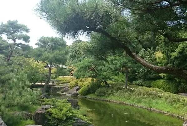 白鳥庭園の写真・動画_image_128854