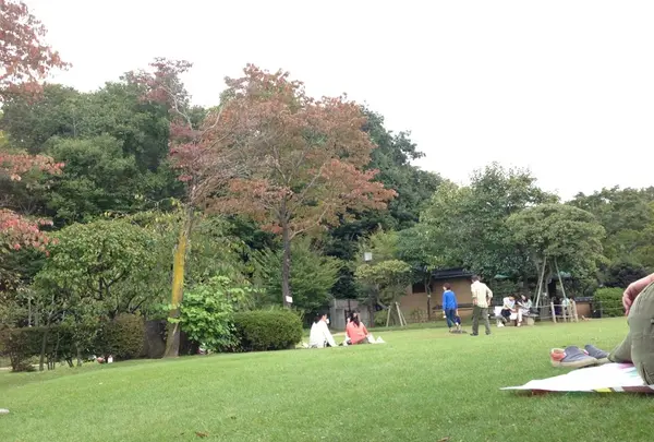 等々力渓谷の写真・動画_image_12914