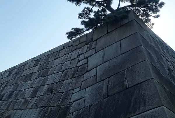 天守台跡