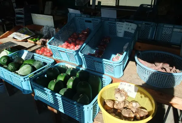 恵みの秋を直売～♪